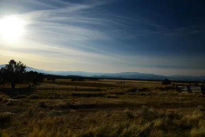 DSC_3012 (Large).JPG